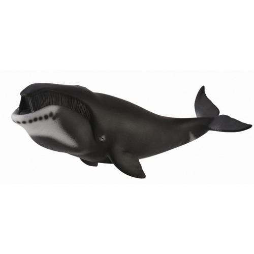 CollectA Bowhead Whale - Brands-Collecta : Craniums - Books | Toys ...