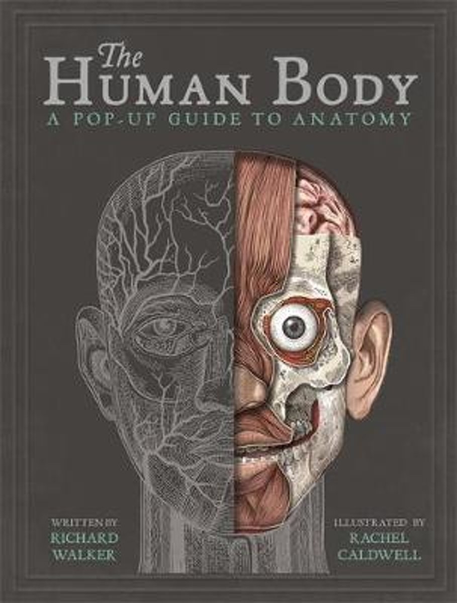 The Human Body A Pop-Up Guide to Anatomy - Books-Pop-Up Books