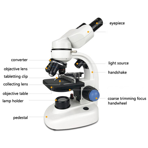 Student Binocular Microscope - S.T.E.M-Biology : Craniums - Books ...