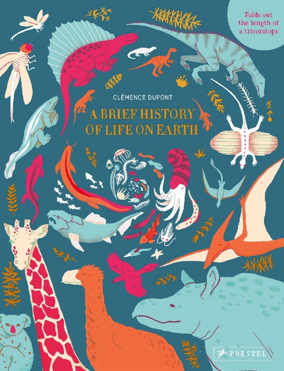 A Brief History Of Planet Earth - Books-Non-Fiction : Craniums - Books ...